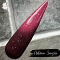 Autumn Sangria - Thermal Flakie Dip Powder