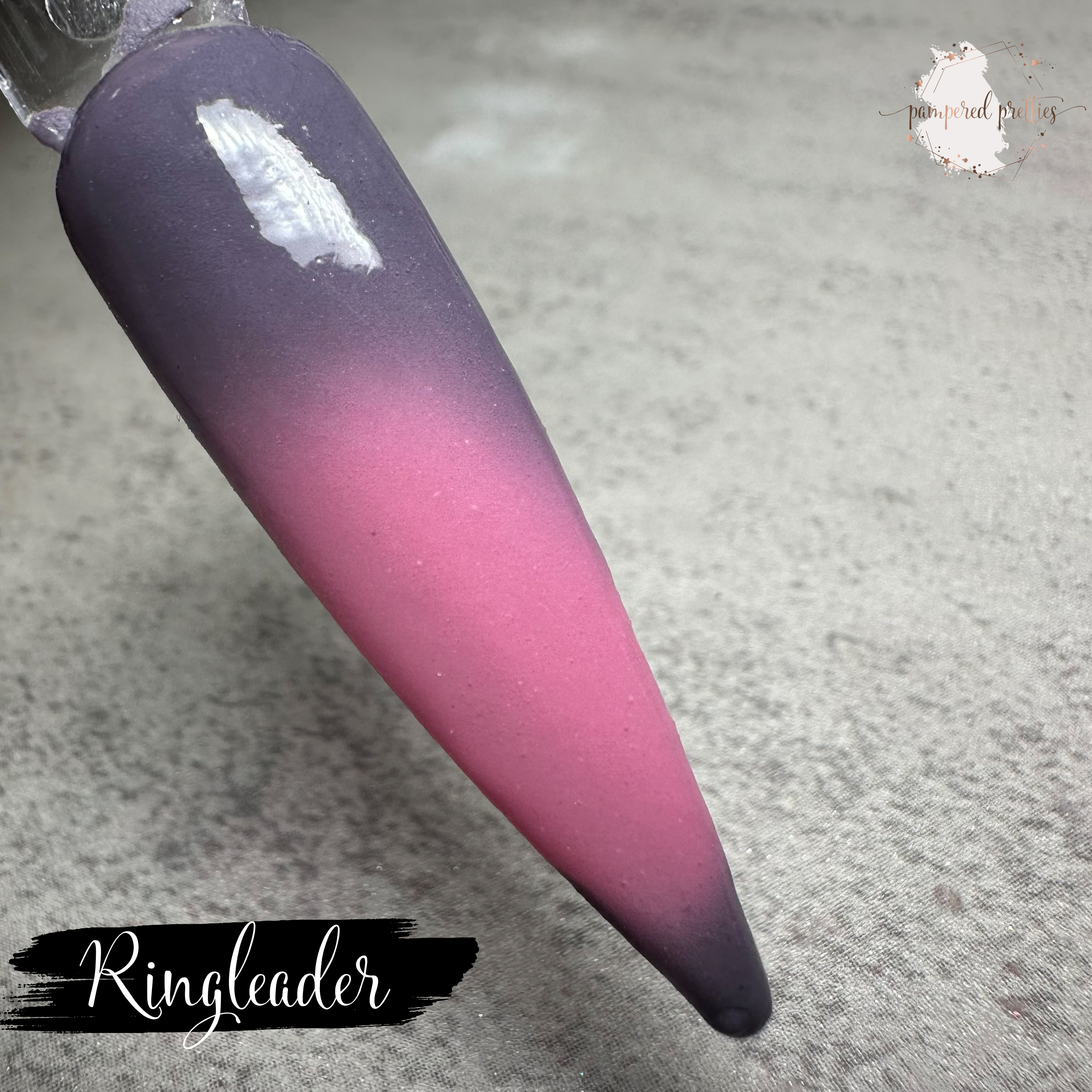 Ringleader - Solid Dip Powder