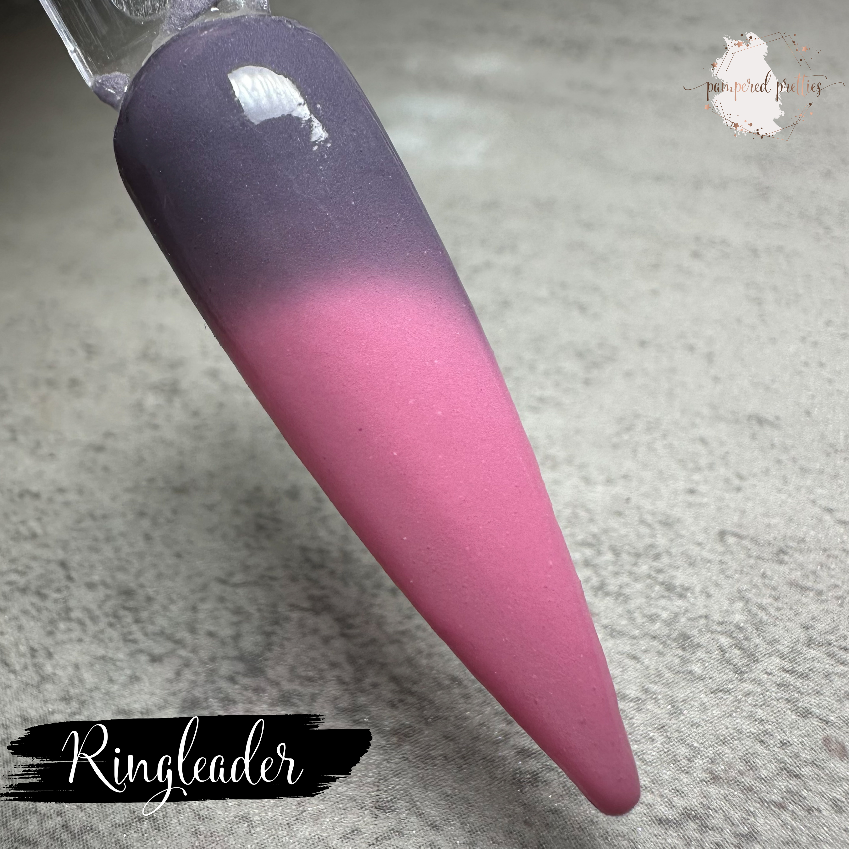 Ringleader - Solid Dip Powder