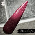 Autumn Sangria - Thermal Flakie Dip Powder - Pampered Pretties