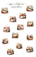 Midi Pretty - Autumn 11 - Pampered Pretties