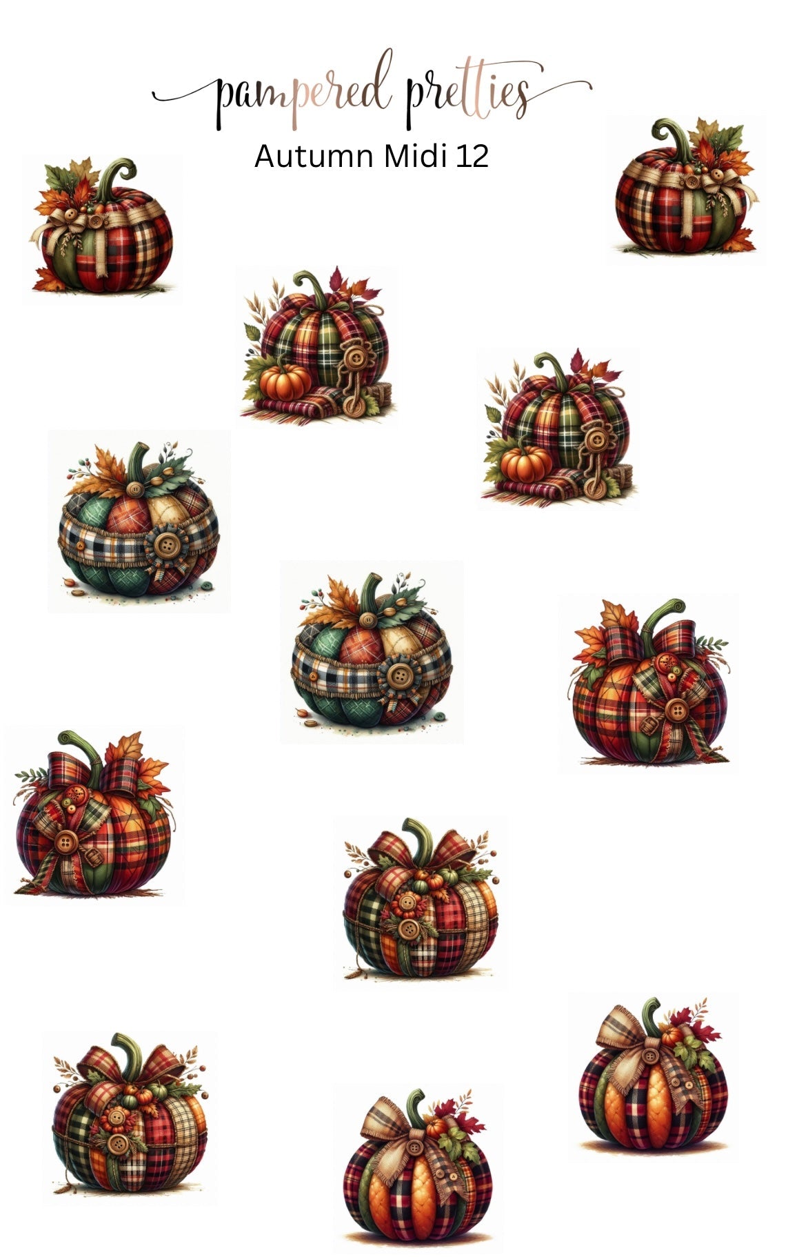Midi Pretty - Autumn 12 - Pampered Pretties