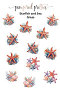Midi Pretty - Starfish & Sea Grass - Pampered Pretties