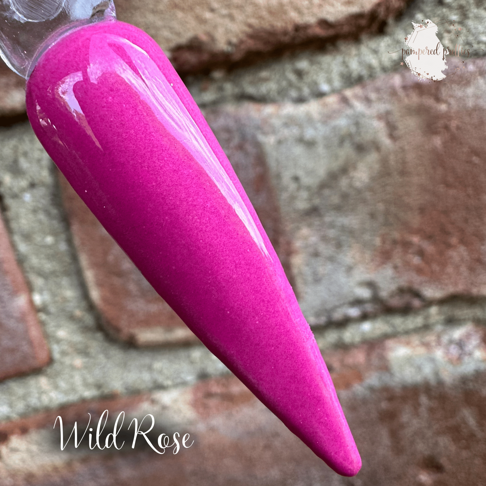 Nightshade Collection - Pampered Pretties