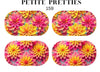 Petite Pretties - 159 - Pampered Pretties