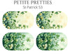 Petite Pretties - St Patrick 53 - Pampered Pretties