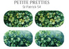 Petite Pretties - St Patrick 54 - Pampered Pretties