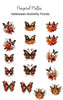 Halloween Butterflies - Pampered Pretties