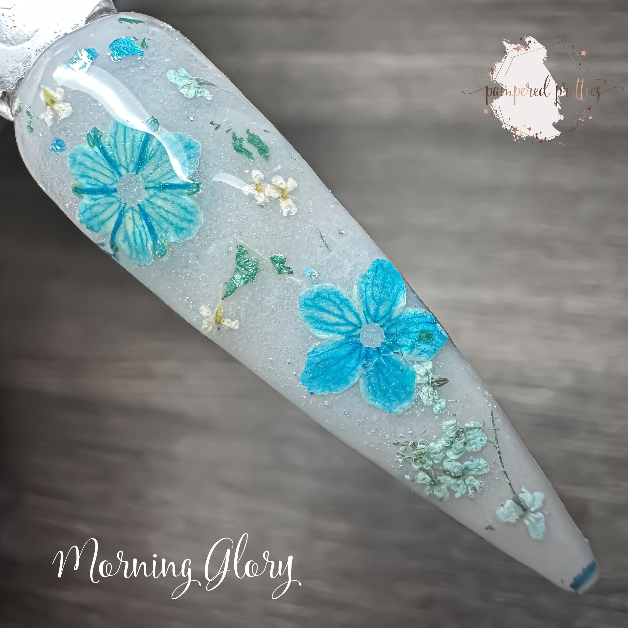 Morning Glory - Pampered Pretties