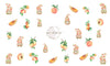 Peach Decals - Pampered Pretties