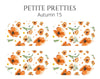 Petite Pretties - Autumn 15 - Pampered Pretties