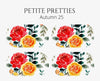 Petite Pretties - Autumn 25 - Pampered Pretties