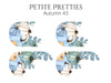 Petite Pretties - Autumn 43 - Pampered Pretties