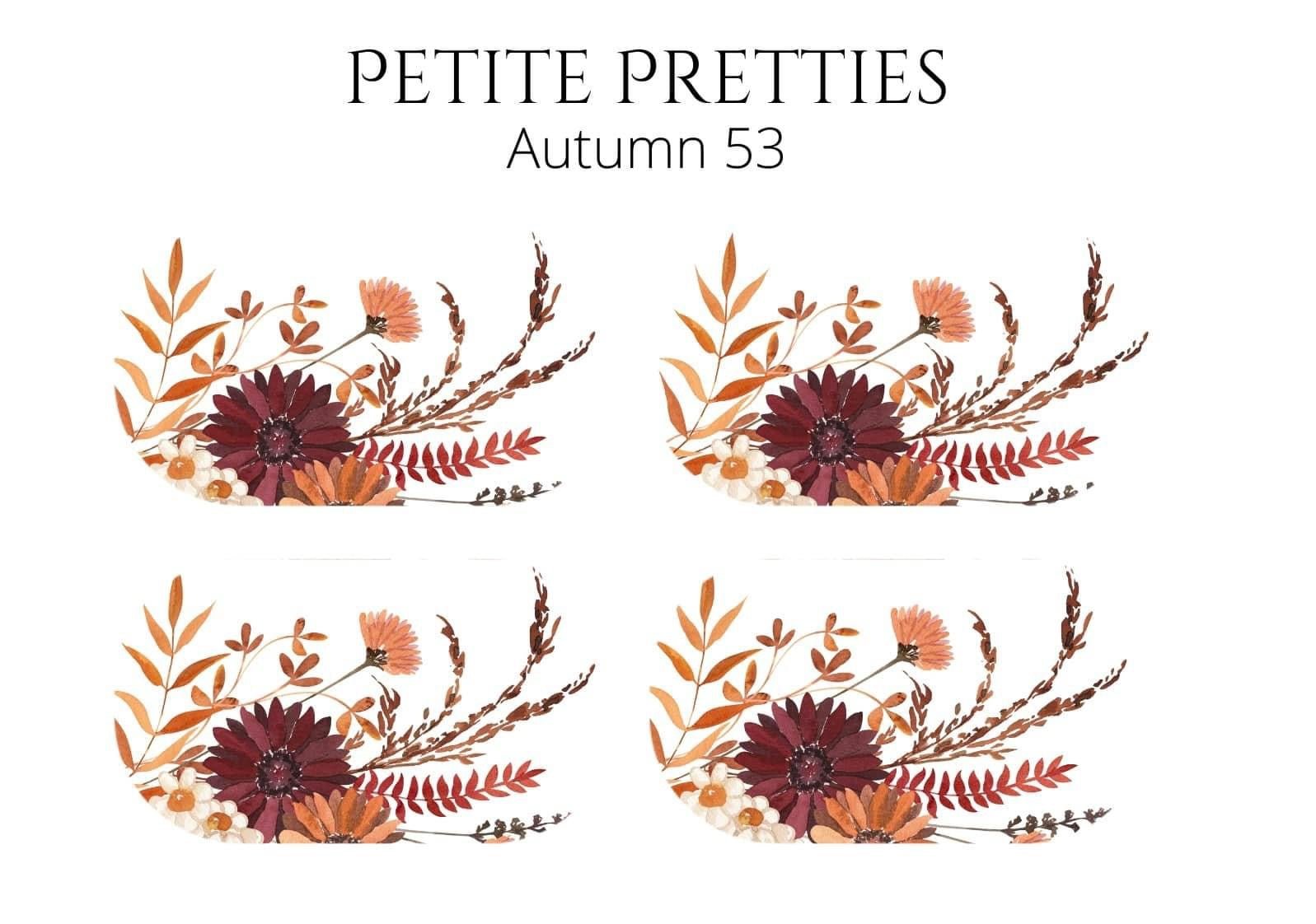 Petite Pretties - Autumn 53 - Pampered Pretties