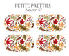 Petite Pretties - Autumn 67 - Pampered Pretties