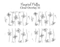 Petite Pretties - Clear Overlay 31 - Pampered Pretties