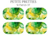 Petite Pretties - St Patrick 37 - Pampered Pretties