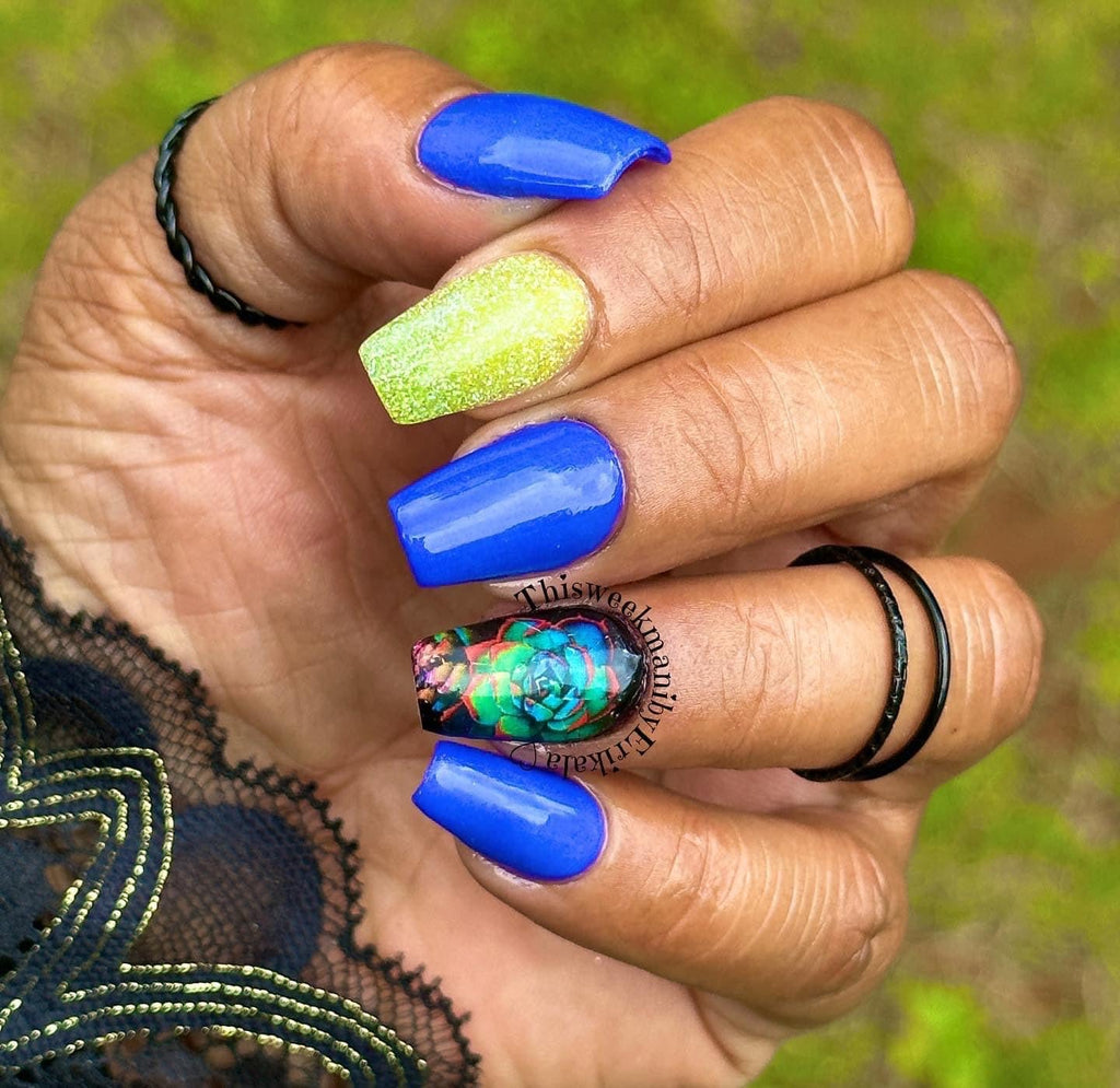 Petite Pretties - Summer 32 - Pampered Pretties