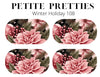 Petite Pretties - Winter Holiday 108 - Pampered Pretties