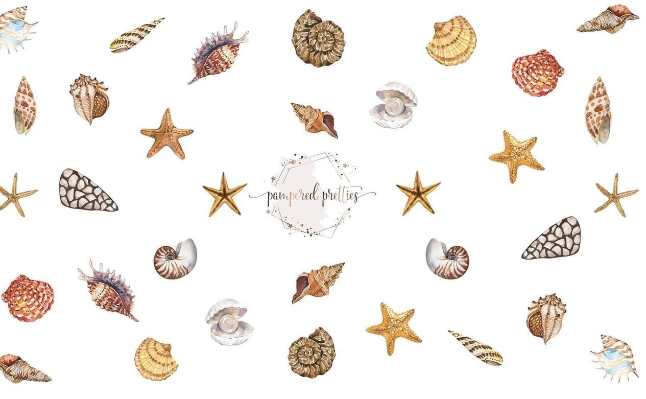 Seashells - Pampered Pretties