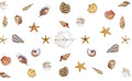 Seashells - Pampered Pretties