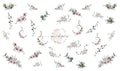 Sketched Orchids - Pampered Pretties