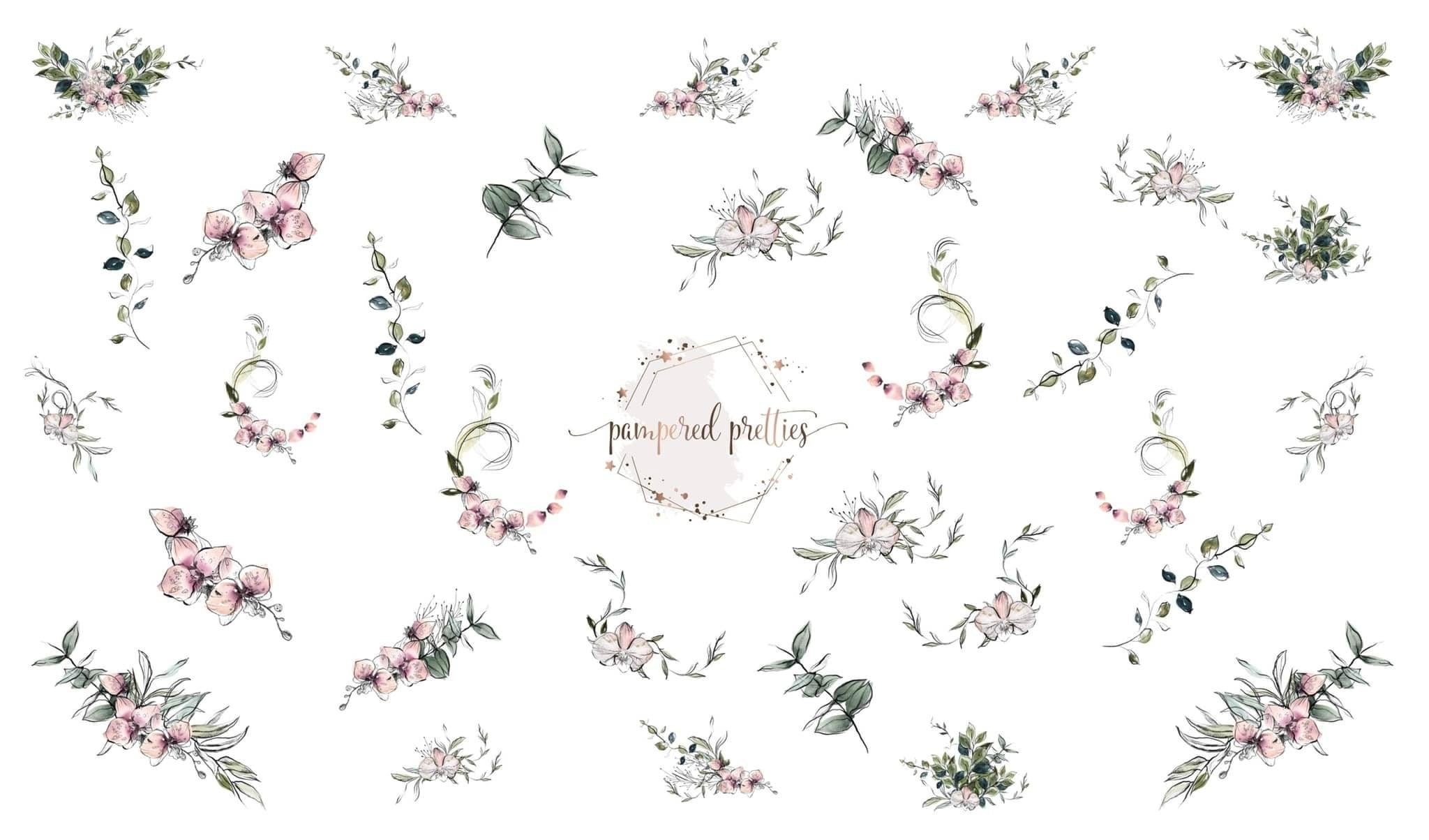 Sketched Orchids - Pampered Pretties