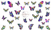 Tye Dye Butterflies - Pampered Pretties